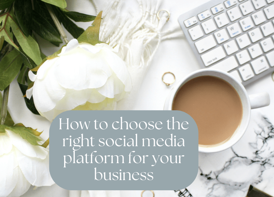 How to choose the right social media platform for your business